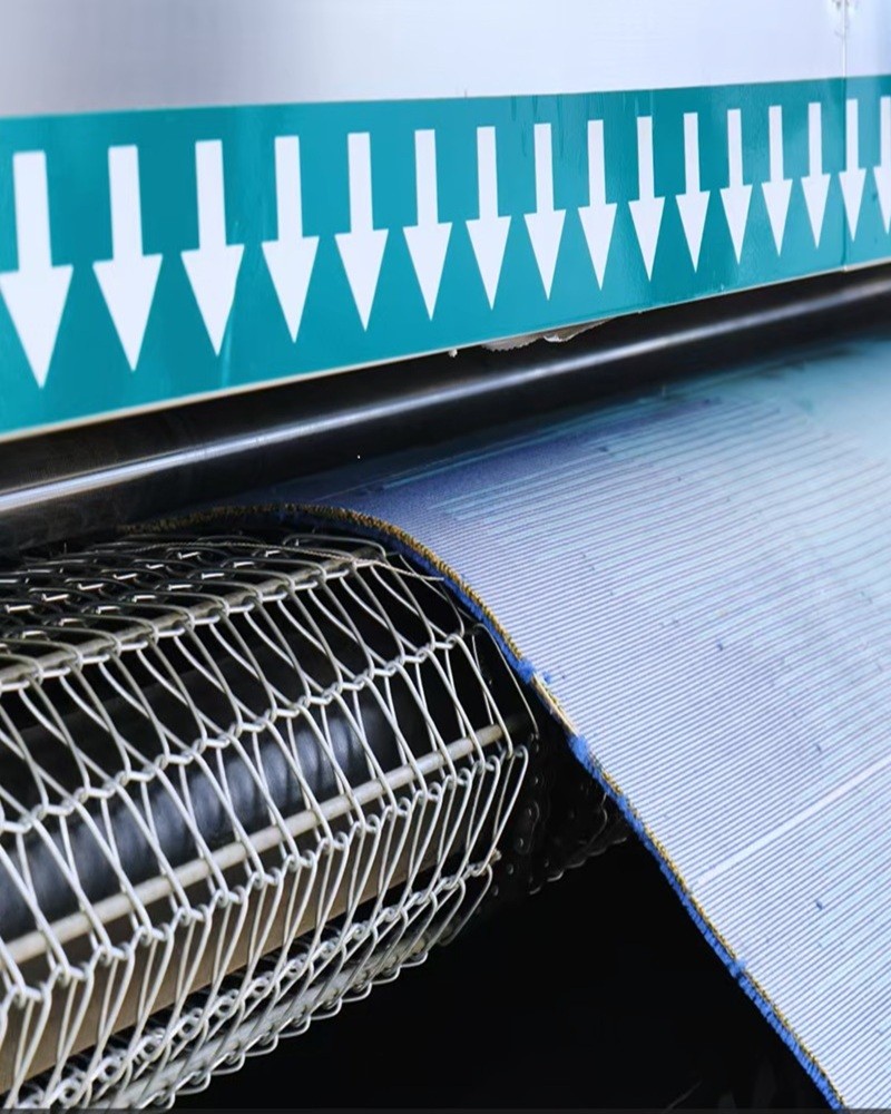 ¿Necesita una máquina para quitar el polvo de alfombras?